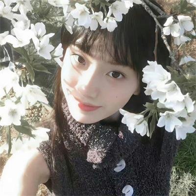 热播剧集
